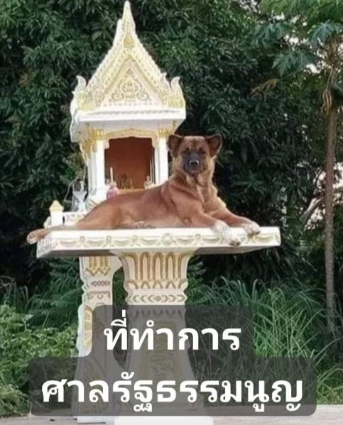 File:ThaiJD.jpg