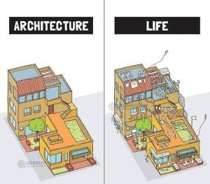Architect.jpg