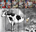 Thumbnail for version as of 13:35, 6 December 2024