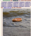 Thumbnail for version as of 18:09, 24 January 2024
