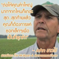 Thumbnail for version as of 16:01, 13 February 2025
