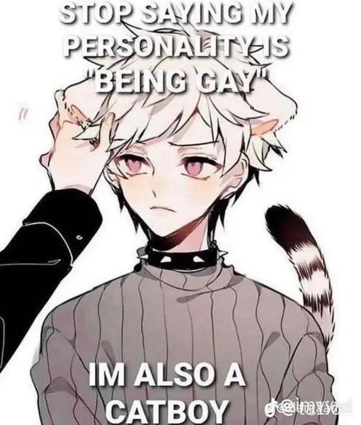 File:Catboy.jpg